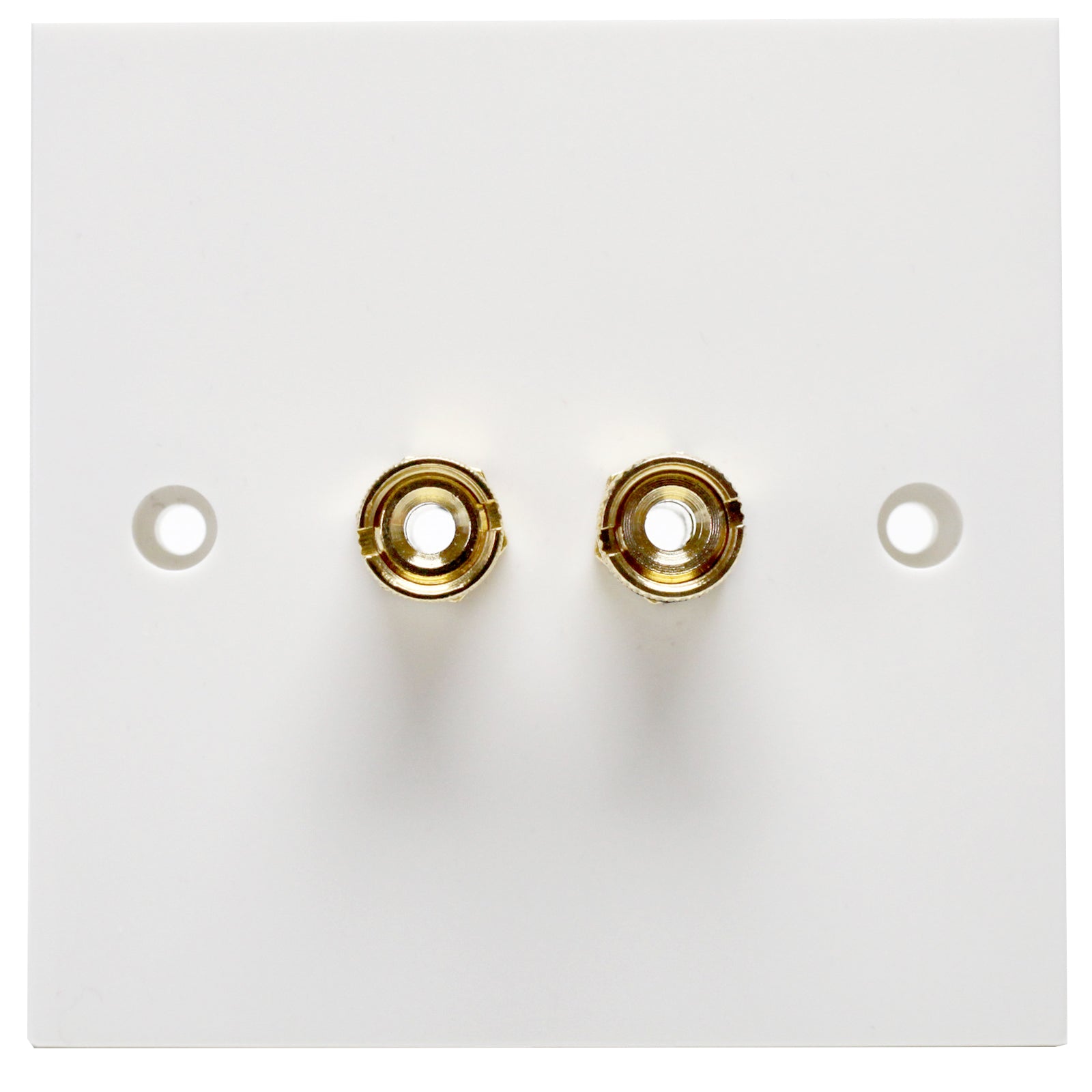 Aura Speaker Wallplate