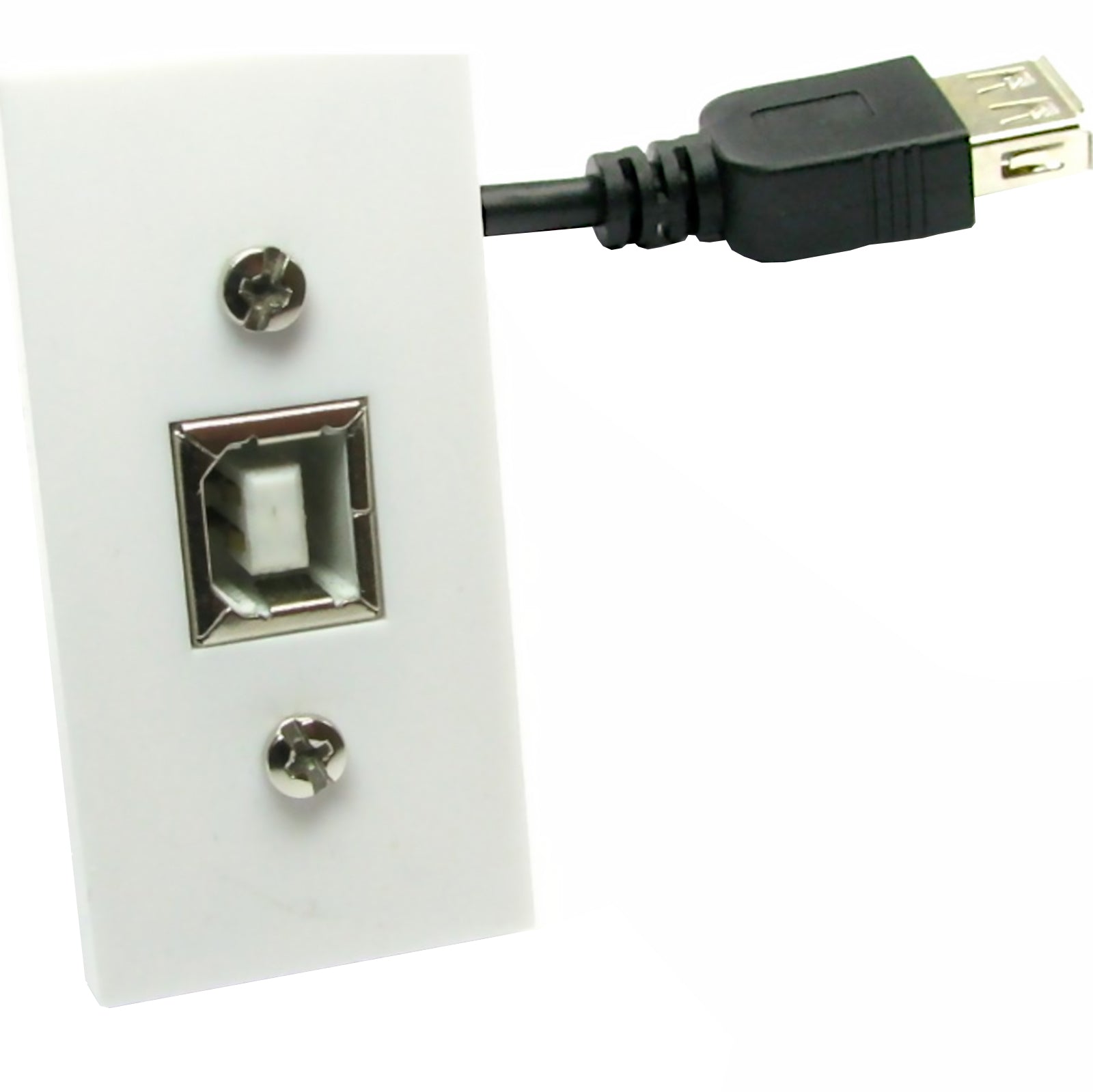 Aura USB Euro Module