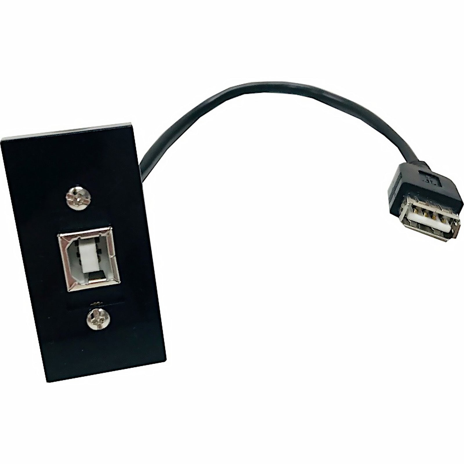Aura USB Euro Module
